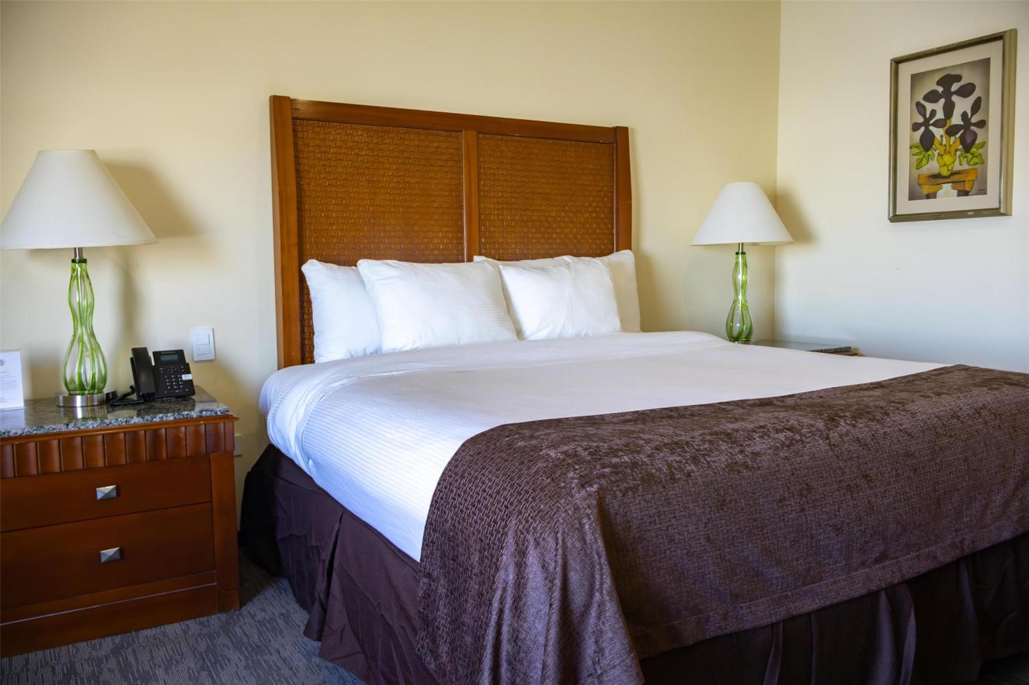 צ'יוואווה Best Western Plus Sacramento מראה חיצוני תמונה