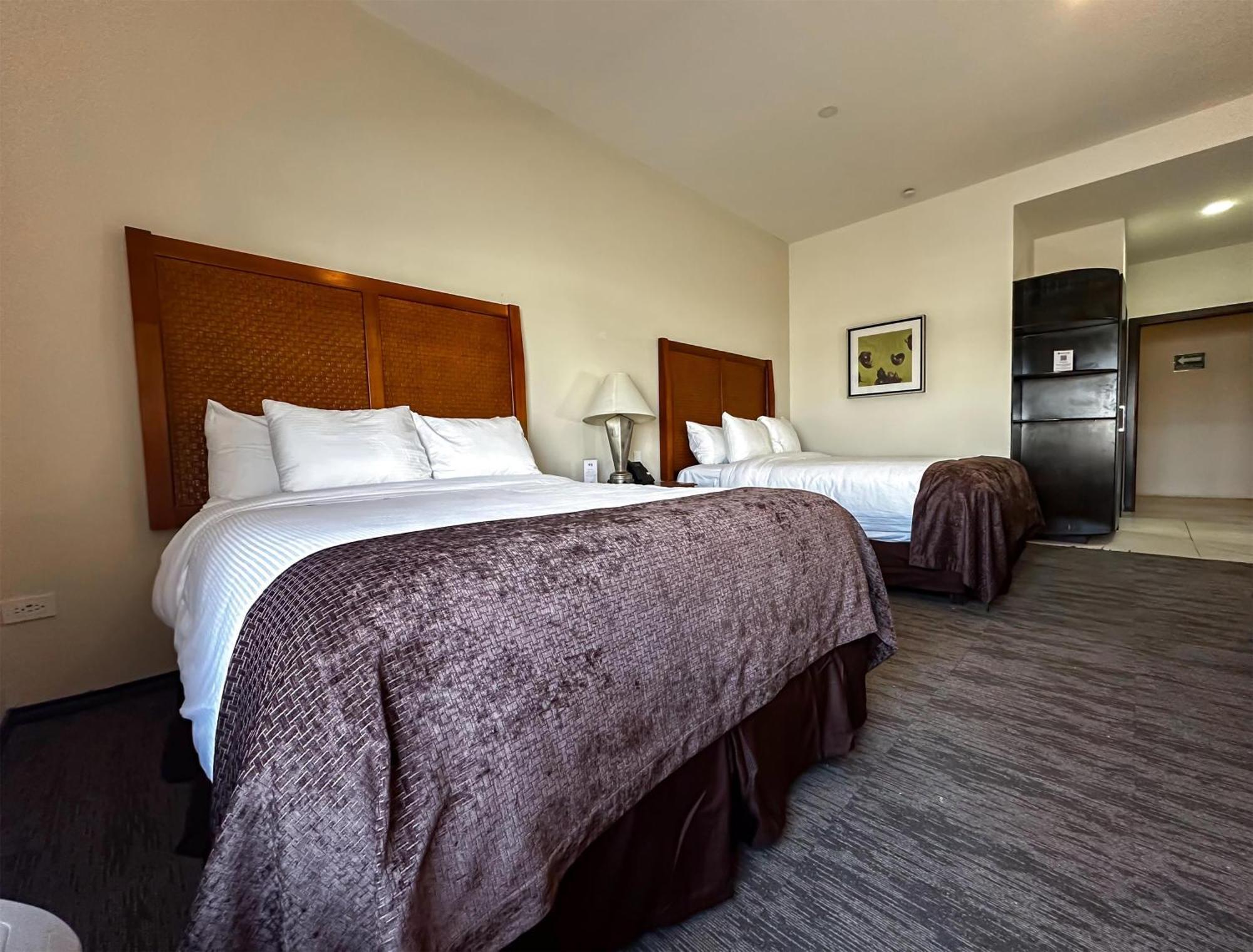 צ'יוואווה Best Western Plus Sacramento מראה חיצוני תמונה